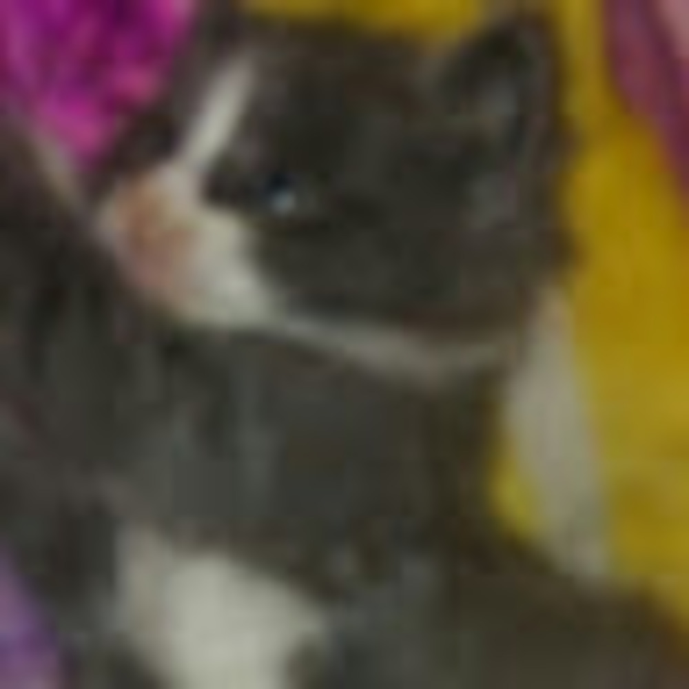 Meet your Posher, Christina